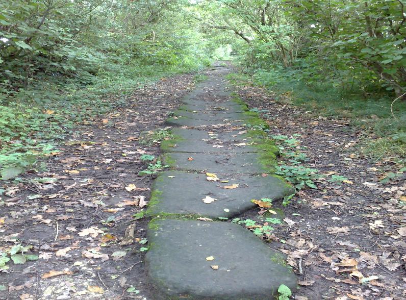The stone path 4