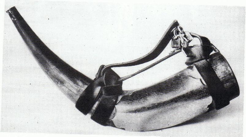 The Wirral Horn